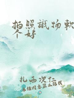 拍照识物软件哪个好