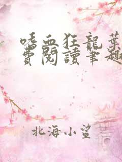 嗜血狂龙叶辰免费阅读笔趣阁