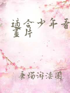 适合少年看的动画片