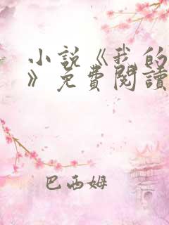 小说《我的荷姨》免费阅读