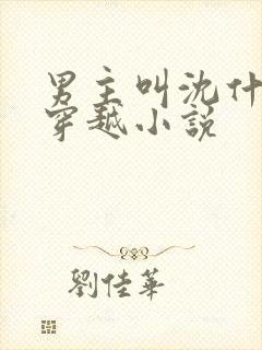 男主叫沈什么的穿越小说