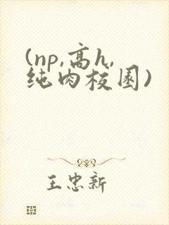 (np,高h,纯肉校园)