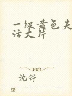 一级黄色夫妻生活大片