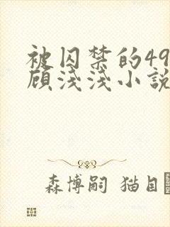 被囚禁的49天顾浅浅小说全文阅读无弹窗