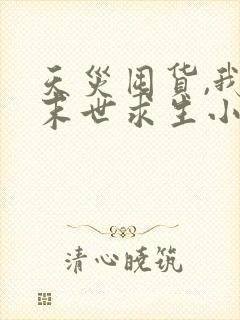 天灾囤货,我在末世求生小说阅读全部