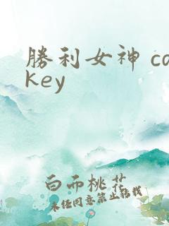 胜利女神 cdkey