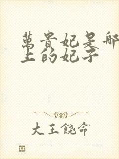 万贵妃是哪个皇上的妃子