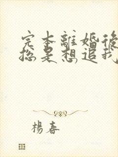 完本离婚后前夫总是想追我