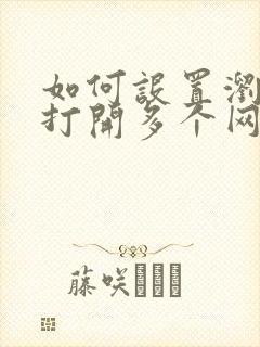 如何设置浏览器打开多个网页