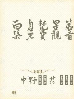 白月梵星第十七集免费观看