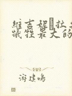 维吉妮·拉朵嫣牺牲最大的一部电影