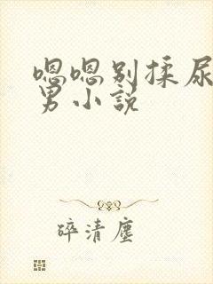 嗯嗯别揉尿h男男小说