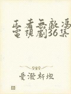 正者无敌冯天魁电视剧36集全