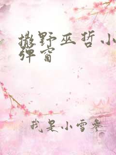 撒野巫哲小说无弹窗