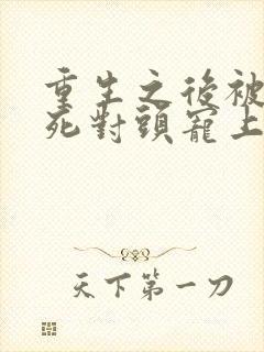 重生之后被渣男死对头宠上天免费