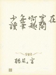 少年啊宾在线阅读笔趣阁