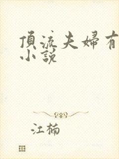 顶流夫妇有点甜小说