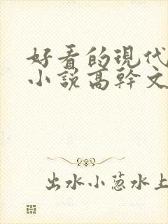 好看的现代言情小说高干文