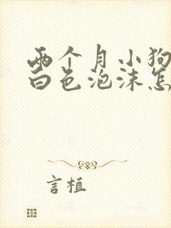 两个月小狗呕吐白色泡沫怎么办