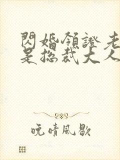 闪婚领证老公竟是总裁大人小说