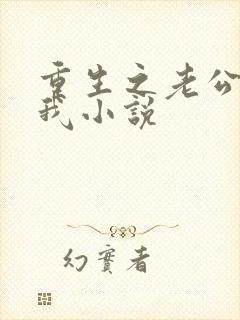 重生之老公等等我小说