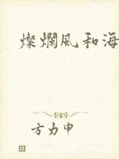 灿烂风和海