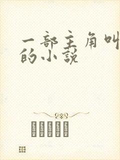 一部主角叫罗峰的小说