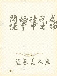 闪婚后我成了大佬掌中之物全集