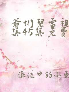 爷们儿电视剧全集45集免费下载