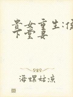 贵女重生:侯府下堂妻