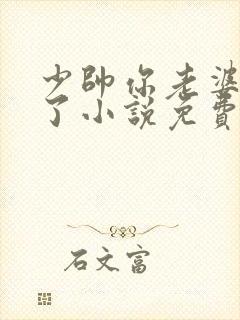 少帅你老婆又跑了小说免费观看