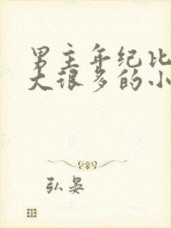 男主年纪比女主大很多的小说