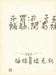 斗罗:我,柔弱辅助,开局被唐昊嫌弃