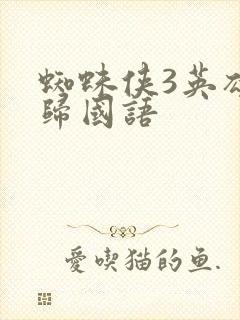 蜘蛛侠3英雄无归国语