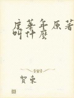 度华年原著小说叫什么