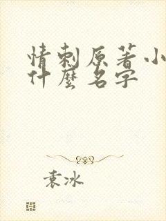 情刺原著小说叫什么名字