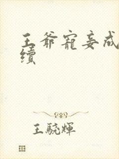 王爷宠妾成妻后续