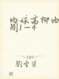 肉嫁高柳内嫁无删1—4