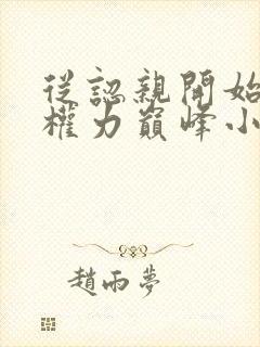 从认亲开始踏上权力巅峰小说全篇