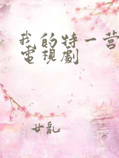 我的特一营完整电视剧