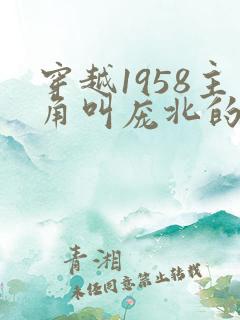 穿越1958主角叫庞北的小说