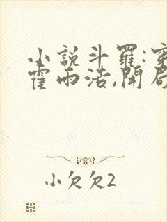 小说斗罗:穿越霍雨浩,开局拜师药老大结局