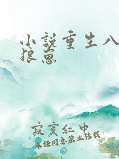 小说重生八零养狼崽