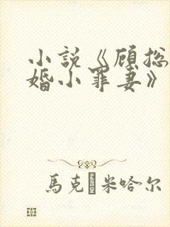 小说《顾总的隐婚小罪妻》