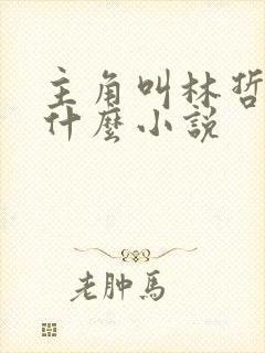 主角叫林哲的是什么小说