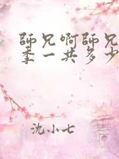 师兄啊师兄第一季一共多少集