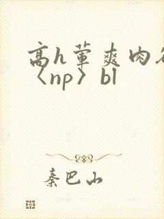 高h荤爽肉欲文〈np〉bl