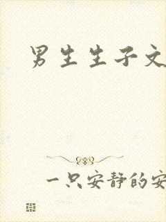 男生生子文