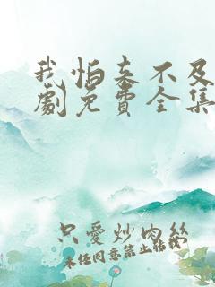 我怕来不及电视剧免费全集