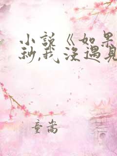 小说《如果这一秒,我没遇见你》